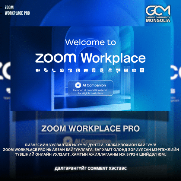 ZOOM WORKPLACE PRO 1 ЖИЛ